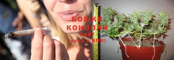 ПСИЛОЦИБИНОВЫЕ ГРИБЫ Магадан