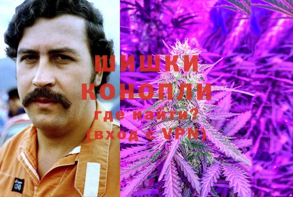 МДПВ Магас
