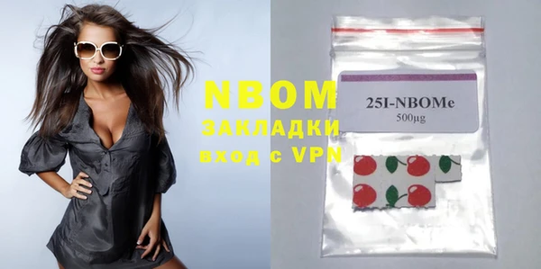 шишки Сясьстрой