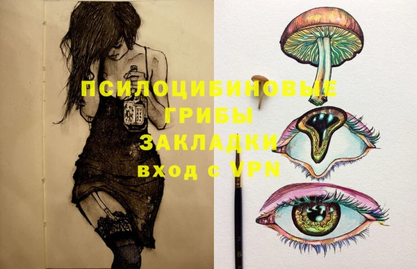 МДПВ Магас