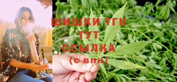 шишки Медногорск