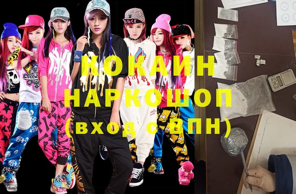шишки Медногорск