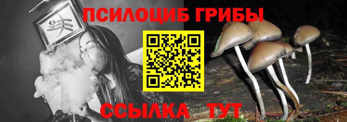 Галлюциногенные грибы ЛСД Лиски